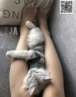 我为卿狂 在线观看
