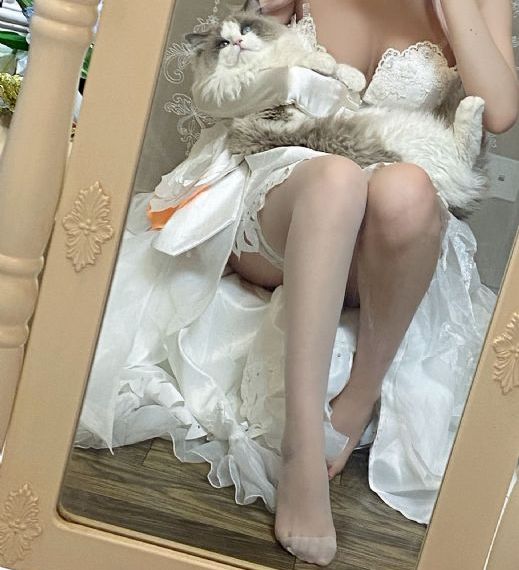 苍兰诀电视剧免费观看全集