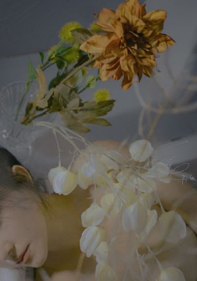 共感双胞胎不敢开腔在哪里看
