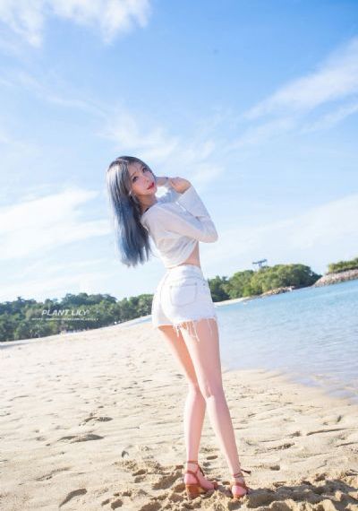 青丝电视剧在线看免费