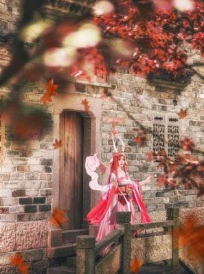 旋风少女第二季